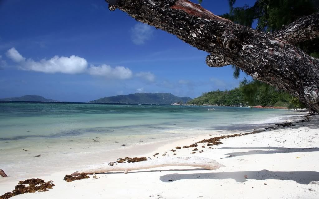 PlanetScenes152.jpg