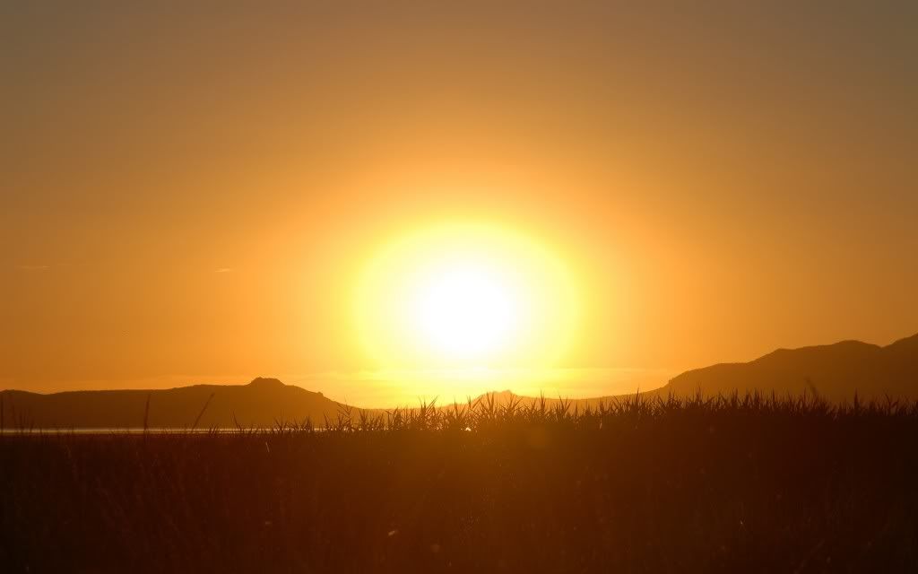PlanetScenes169.jpg