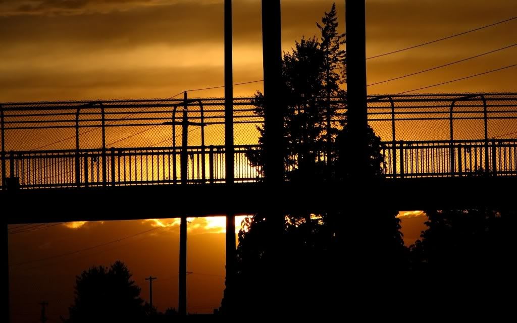 PlanetScenes172.jpg