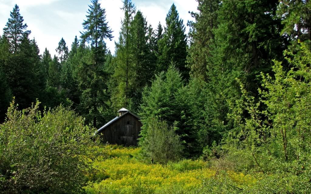 PlanetScenes179.jpg