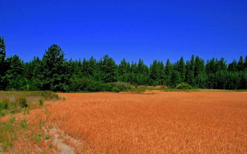 PlanetScenes205.jpg