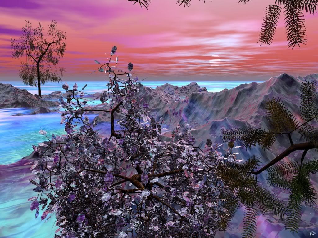 RomanticWake.jpg