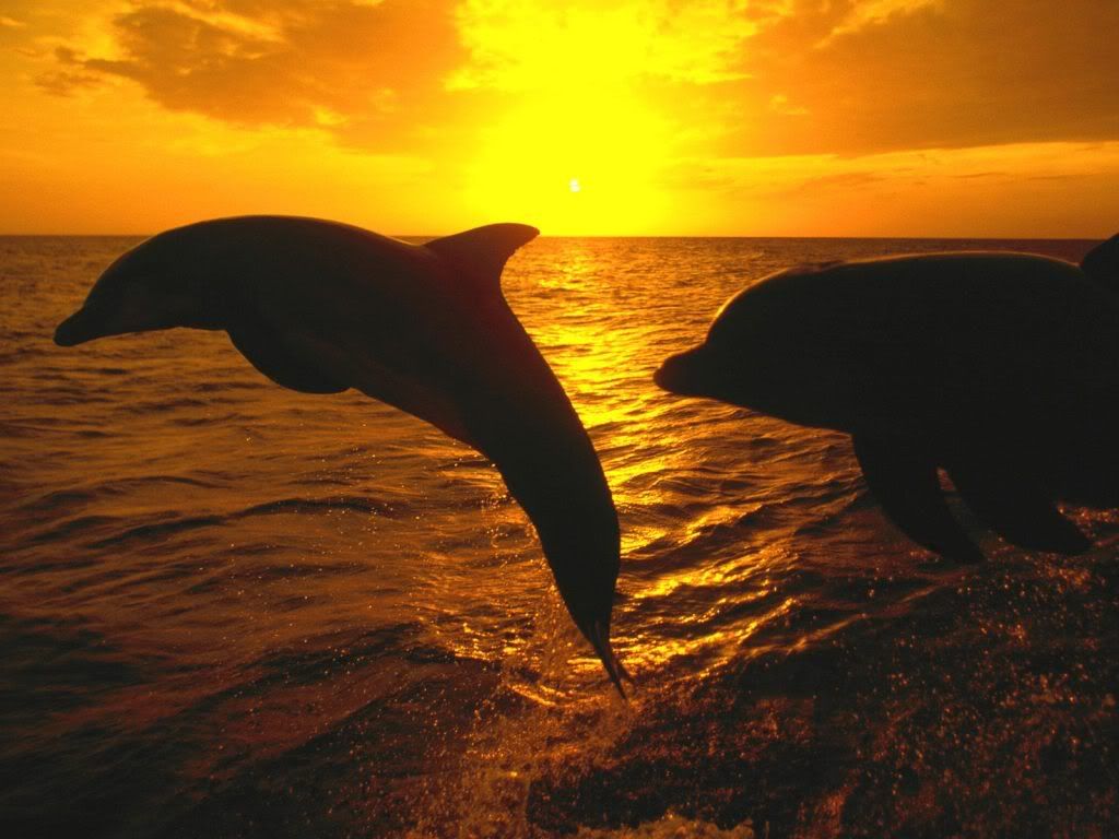 SunsetJumpHonduras.jpg