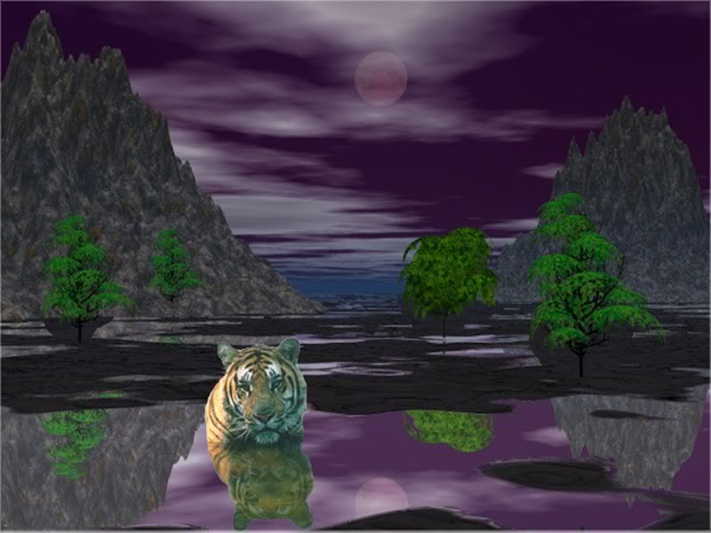 TheTiger.jpg