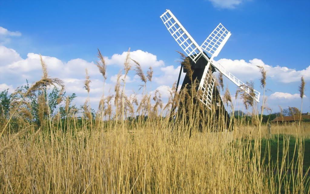 WickenFenWindmillCambridgeshireUnit.jpg