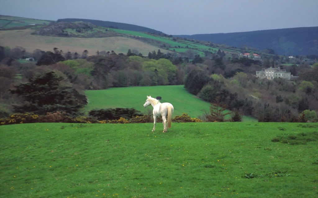 WicklowCountrysideNearPowerscourtCa.jpg