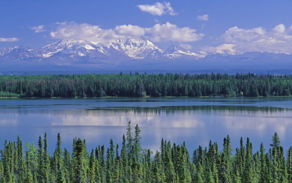 WillowLakeandMountWrangellWrangellS.jpg
