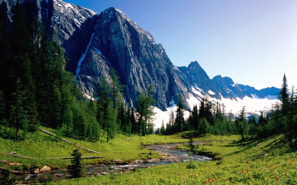 WindingStreamBanffNationalParkAlber.jpg