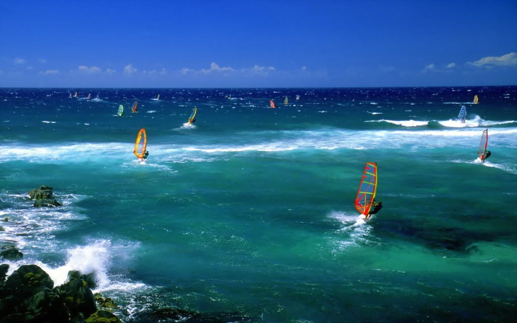 WindsurfersMaui.jpg