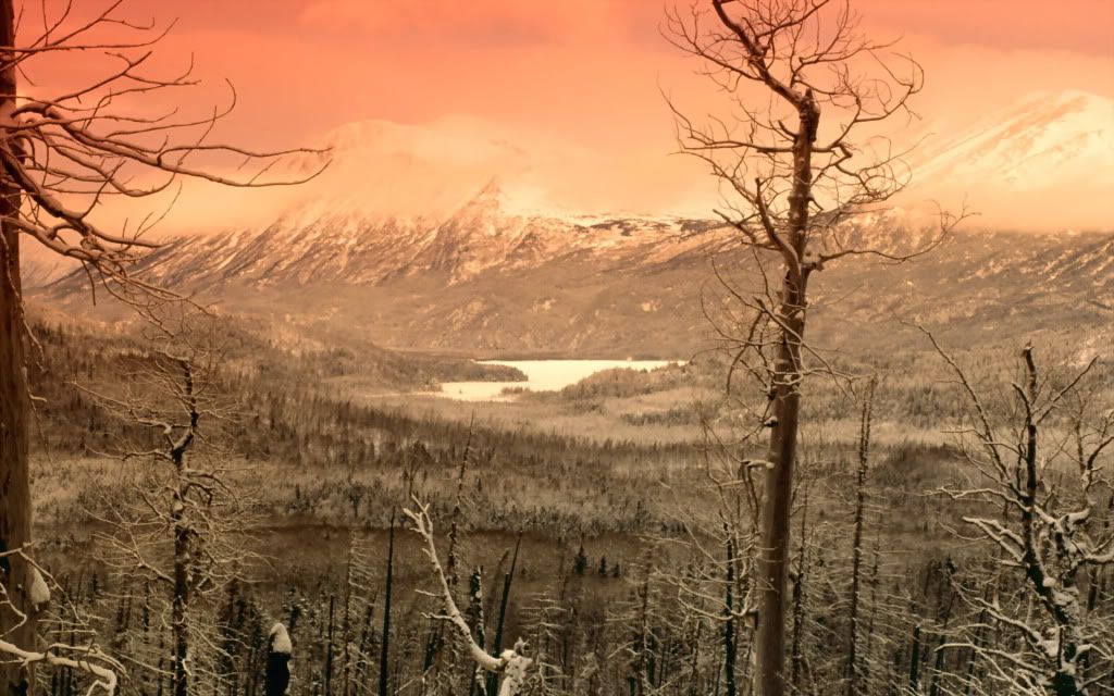 WinterEmbracedSkilakLakeKenaiPenins.jpg