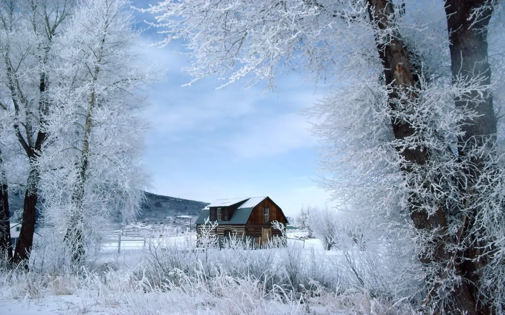 WinterWonderlandSteamboatSpringsCol.jpg