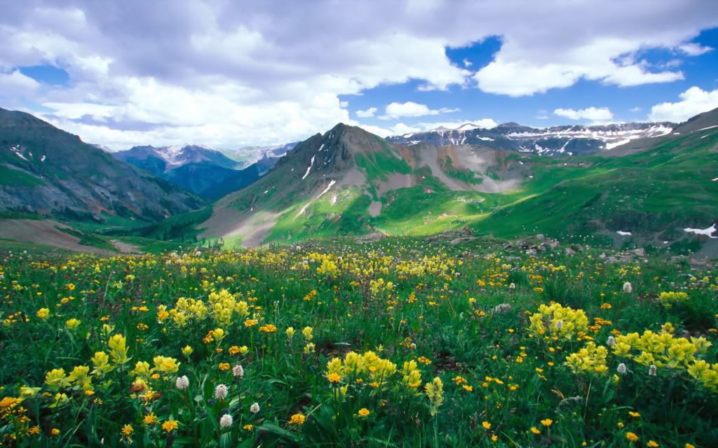 YankeeBoyBasinOurayColorado.jpg